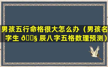 男孩五行命格很大怎么办（男孩名字生 🐧 辰八字五格数理预测）